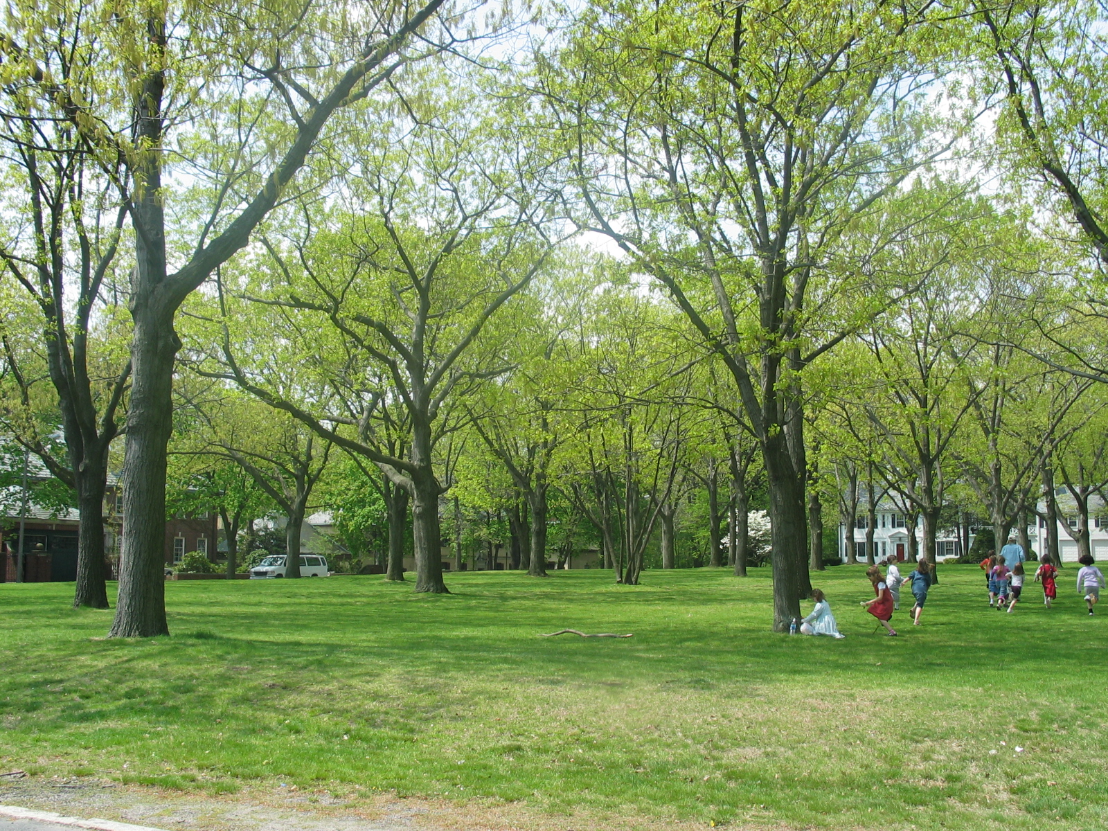 Mason Square in Precinct 1.